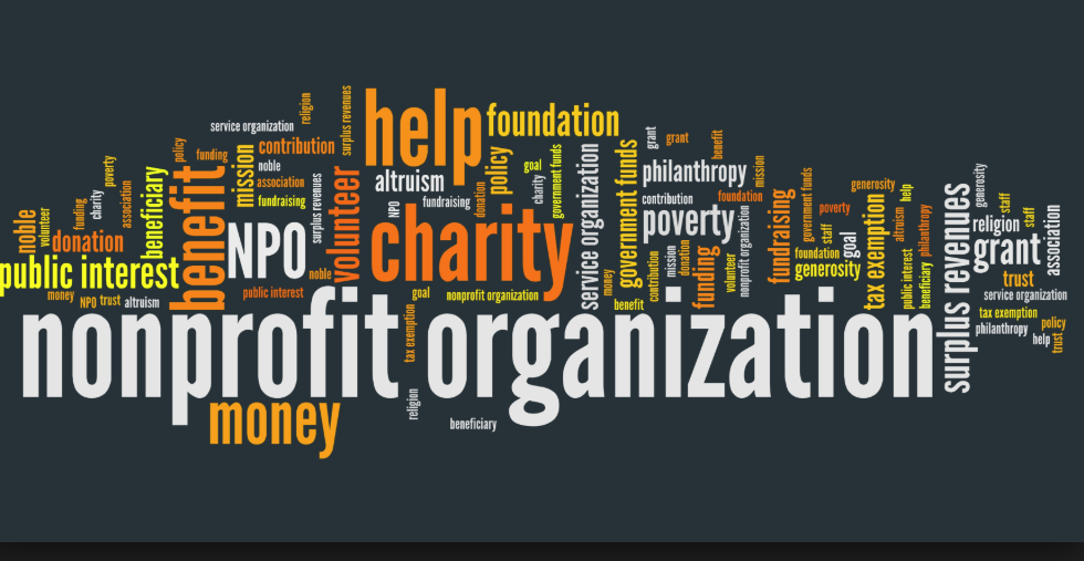 Non Profit, Organization